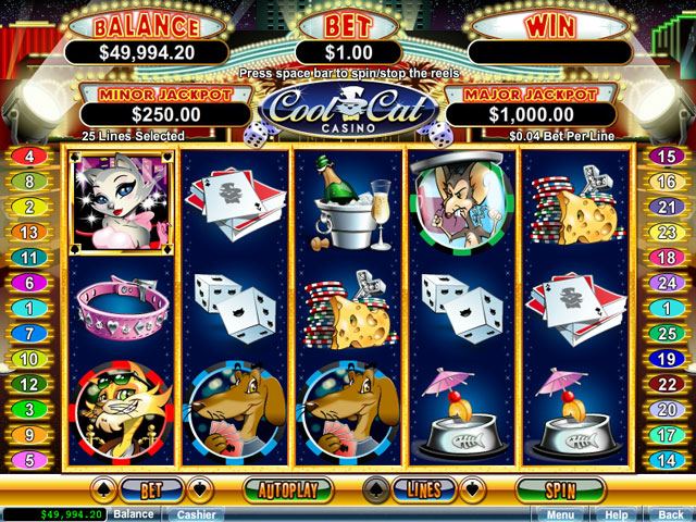 Cat casino сайт cyou